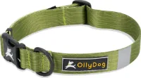 OllyDog Flagstaff Collar OllyDog Flagstaff Collar