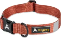 OllyDog Flagstaff Collar