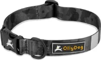 OllyDog Flagstaff Collar OllyDog Flagstaff Collar