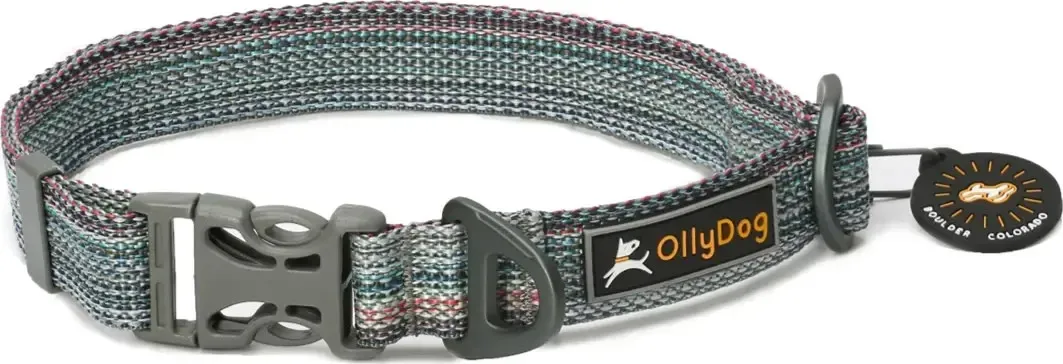 OllyDog Flagstaff Collar OllyDog Flagstaff Collar