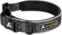 OllyDog Flagstaff Reflective Comfort Collar