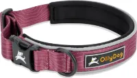 OllyDog Flagstaff Reflective Comfort Collar
