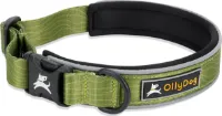 OllyDog Flagstaff Reflective Comfort Collar