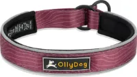 OllyDog Martingale Reflective Comfort Collar