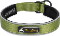 OllyDog Martingale Reflective Comfort Collar OllyDog Martingale Reflective Comfort Collar