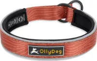 OllyDog Martingale Reflective Comfort Collar