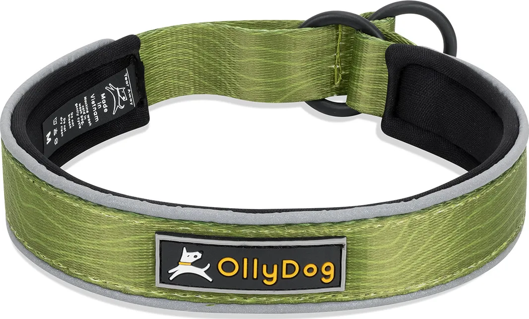 OllyDog Martingale Reflective Comfort Collar