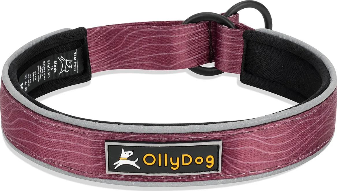 OllyDog Martingale Reflective Comfort Collar OllyDog Martingale Reflective Comfort Collar