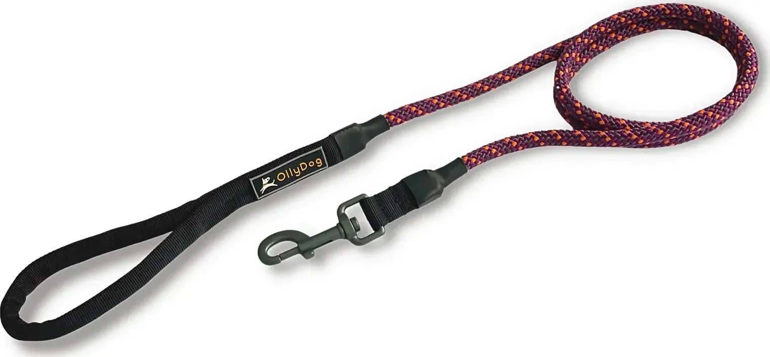OllyDog Mountain Leash, Wild Aster, One Size OllyDog Mountain Leash, Wild Aster, One Size