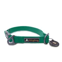 OllyDog Tilden Collar OllyDog Tilden Collar