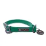 OllyDog Tilden Collar