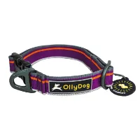 OllyDog Urban Trail Reflective Collar