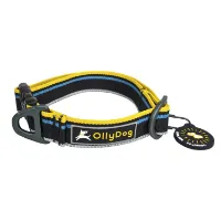 OllyDog Urban Trail Reflective Collar OllyDog Urban Trail Reflective Collar