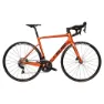 Shiny orange