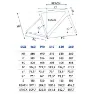 Olmo Nerax Ultegra Di2 2024 Racercykel