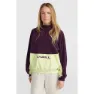 O'Neill O´riginals Polartec 100 Fleece Med Halv Dragkedja