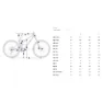 Orbea Occam Sl M30 29´´ Xt M8100 Sgs Shadow Plus 2026 Mtb Cykel, Sunset carbon view / black matt, L