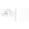 Orbea Oiz H10 29´´ Xt M8100 Sgs Shadow Plus 2026 Mtb Cykel