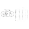 Orbea Oiz M-ltd 29´´ Xx Eagle Sl Axs 2026 Mtb Cykel, Diamond carbon view matt / cherry red gloss, M