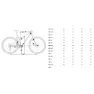 Orbea Oiz M-pro 29´´ Xt M8100 Sgs Shadow Plus 2025 Mtb Cykel