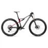 Diamond carbon view matt / cherry red gloss