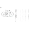 Orbea Oiz M-team 29´´ X0 Eagle Axs 2025 Mtb Cykel