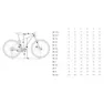 Orbea Onna 50 29´´ Tourney Tx800 2026 Mtb Cykel