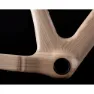 Ornus Enve 2024 Grusram