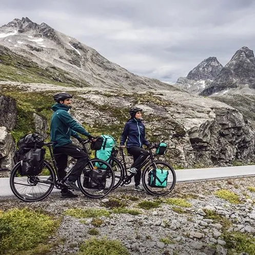 Ortlieb Rack-Pack Free Väska