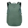 Pine leaf green