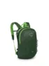 Green canopy / limeline green