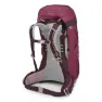 Osprey Sirrus 36 Ryggsäck, Elderberry purple / chiru tan