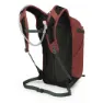 Osprey Sportlite 20 Ryggsäck, Acorn / bonsai