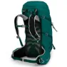 Osprey Tempest 34l Ryggsäck, Jasper green