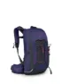 Deep fig/hotspot pink
