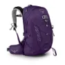 Violac purple 1