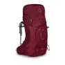 Claret Red 1