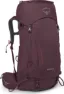Elderberry Purple