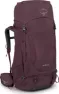 Elderberry Purple 1