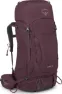 Elderberry Purple 2