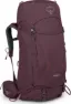Elderberry Purple