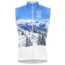 Snow forest