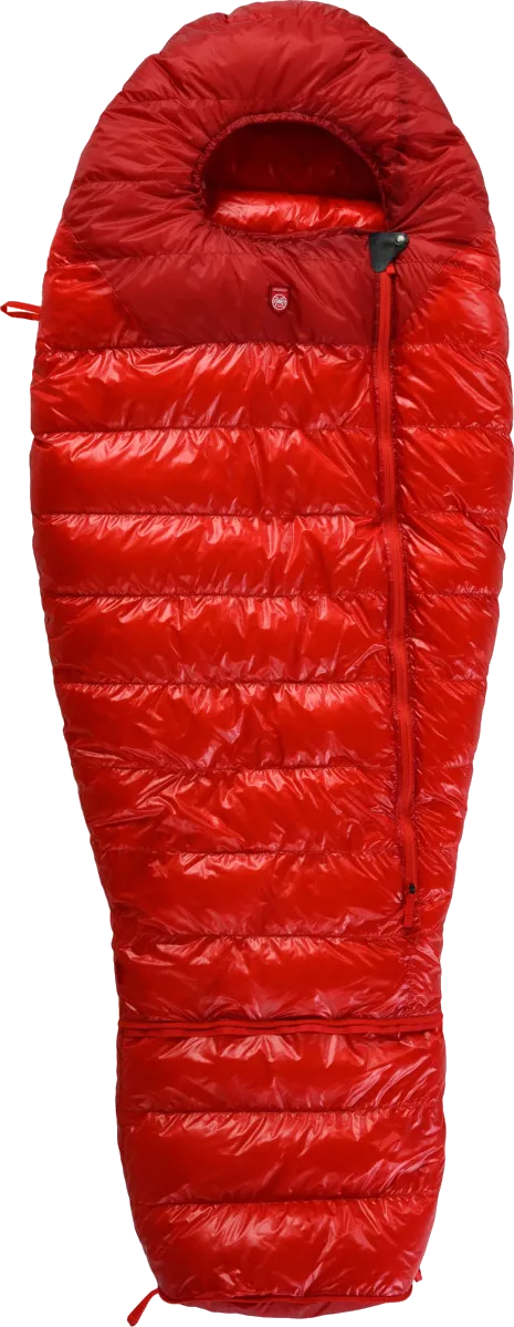 PAJAK Kids' Quest Bear