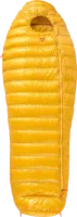 PAJAK Radical 1Z PAJAK Radical 1Z