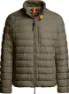 Olive grey