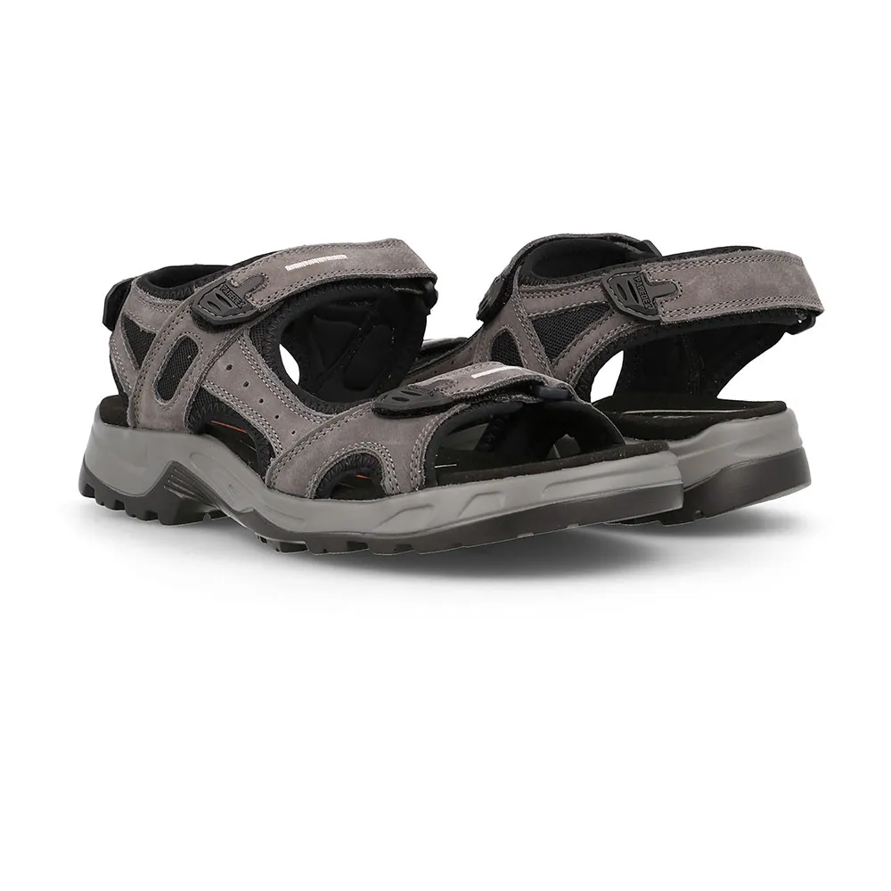 Paredes Aral Sandaler