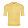 Dusty Yellow