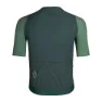 Pas Normal Studios Solitude Midsummer Jersey SS23, Green sleeve