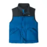 Patagonia Men's Downdrift Vest