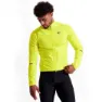 Screaming yellow 1